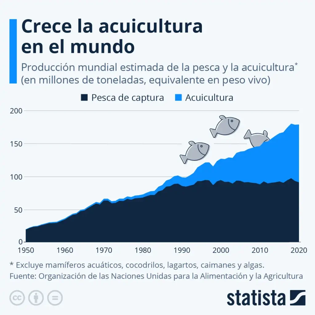 El Auge de la Acuicultura: Un Cambio en el Abastecimiento de Pescado