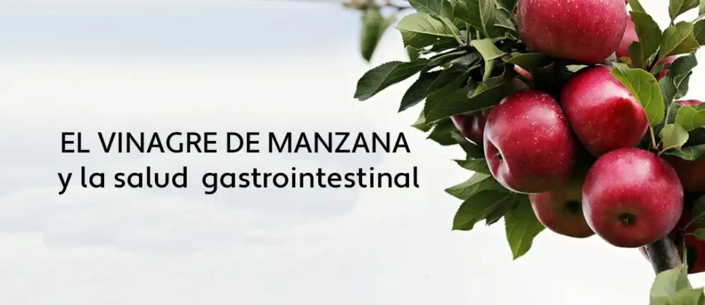 El Vinagre de Manzana: Beneficios y Riesgos para la Salud Hepática y Renal