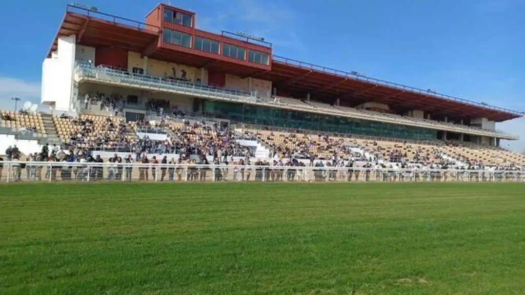 Emoción y Tradición en el Gran Hipódromo de Dos Hermanas: Última Jornada del Año