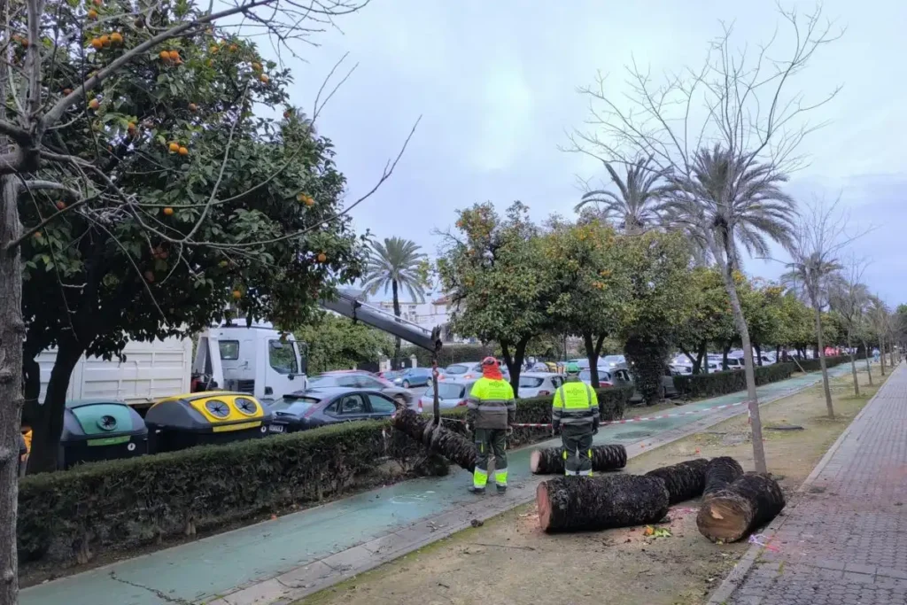 Impacto de la Borrasca Leonardo en Andalucía: Desalojos y Emergencias