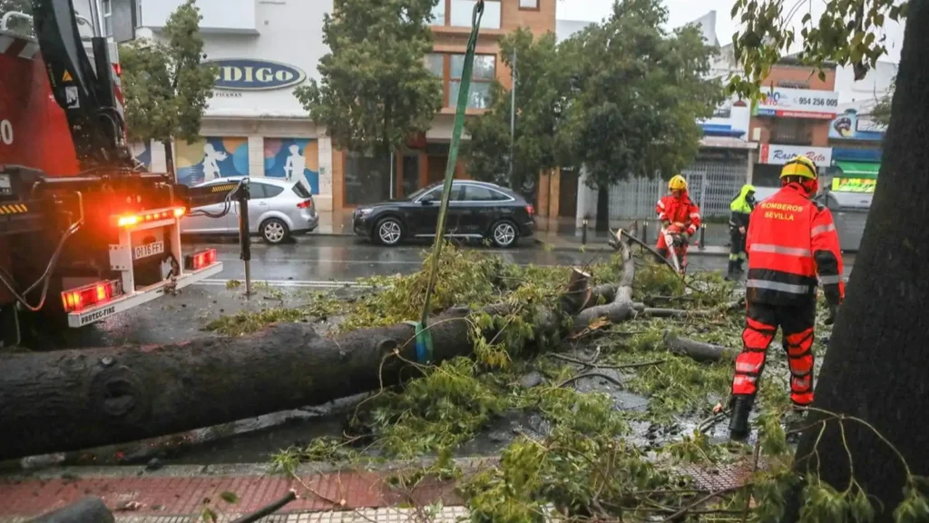 Impacto del Temporal en Sevilla: Caída de Árboles y Medidas de Emergencia