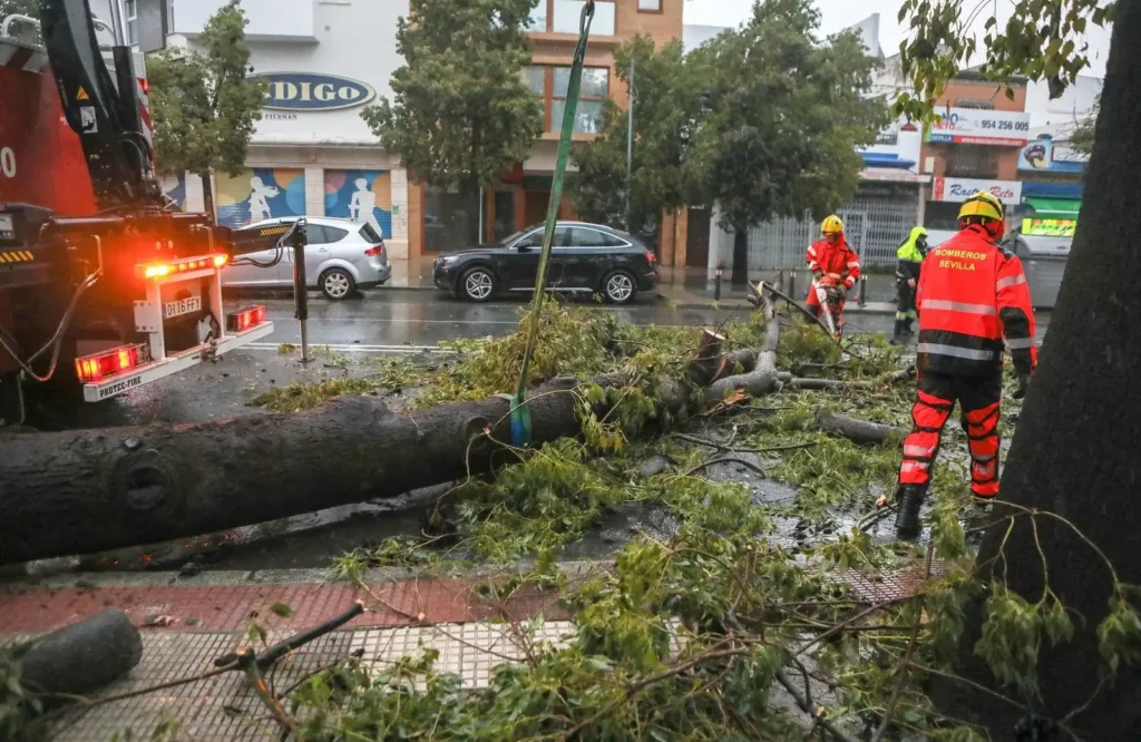 Impacto del Temporal en Sevilla: Desprendimientos y Medidas de Seguridad