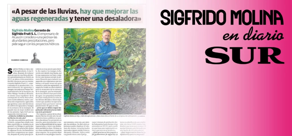 Innovación y Sostenibilidad: El Futuro de Sigfrido Fruit en el Sector Agroalimentario