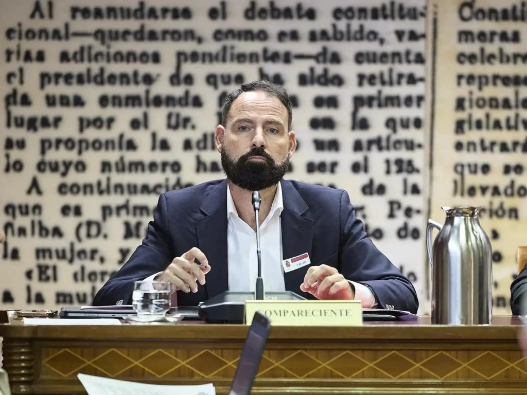 Investigaciones sobre las Finanzas del PSOE: Testimonios y Revelaciones Clave