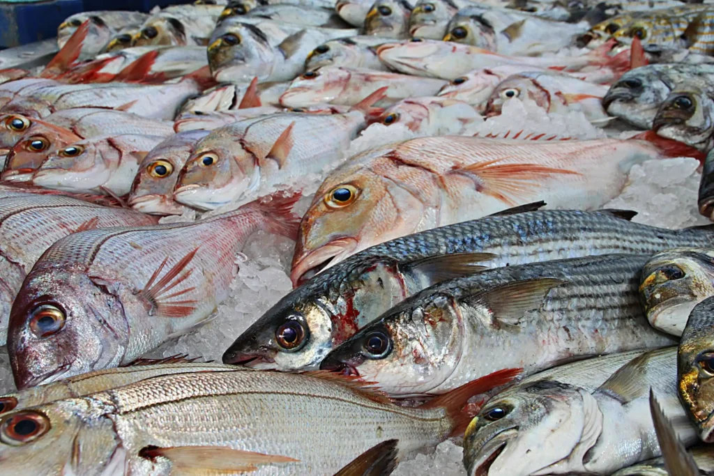 La Caída del Consumo de Pescado en España: Causas y Consecuencias