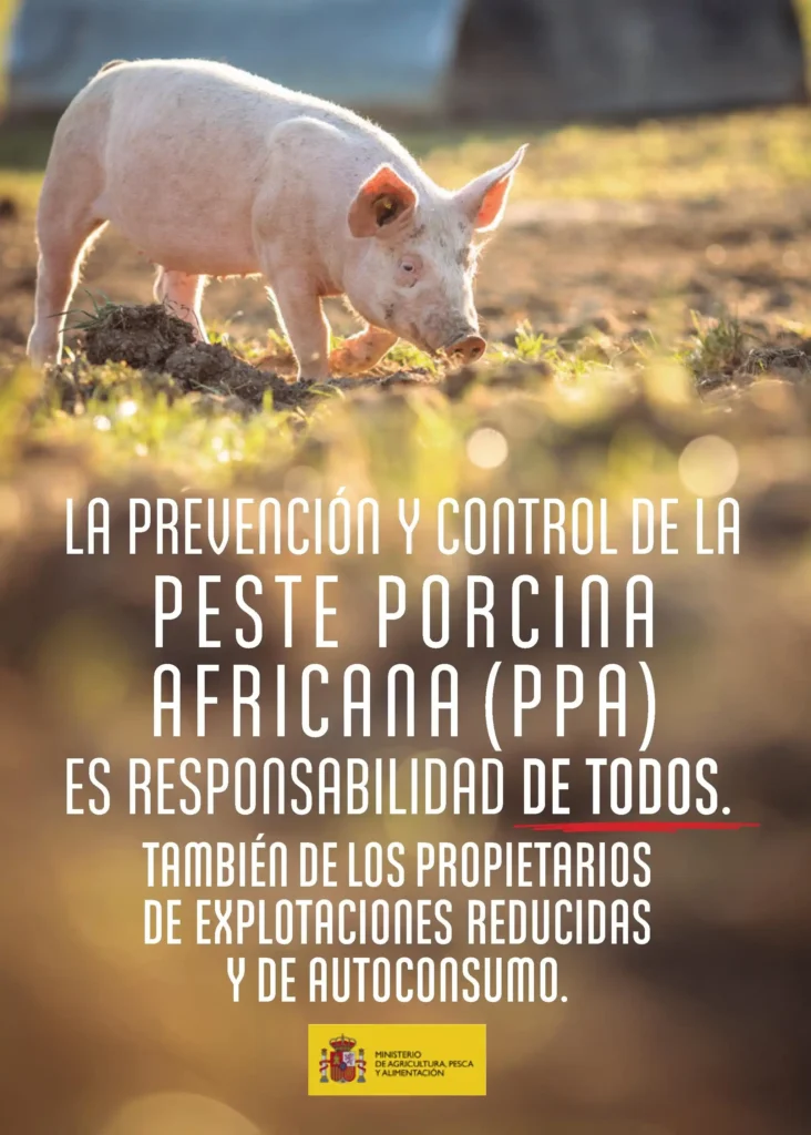 La Peste Porcina Africana: Un Desafío Emergente para la Sanidad Animal en España