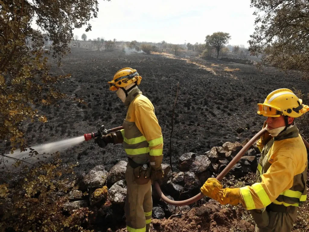 La Realidad de los Bomberos Forestales en España: Desafíos y Precariedad Laboral