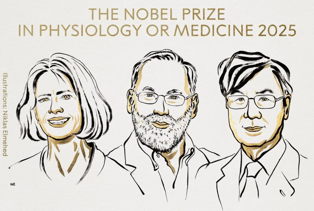 Premio Nobel de Medicina 2025: Un Hito en la Investigación de la Inmunología