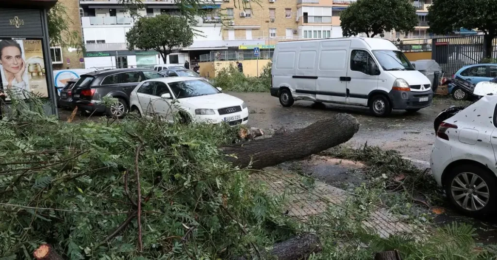 Previsiones Meteorológicas y Consecuencias de la Borrasca Kristin en Sevilla
