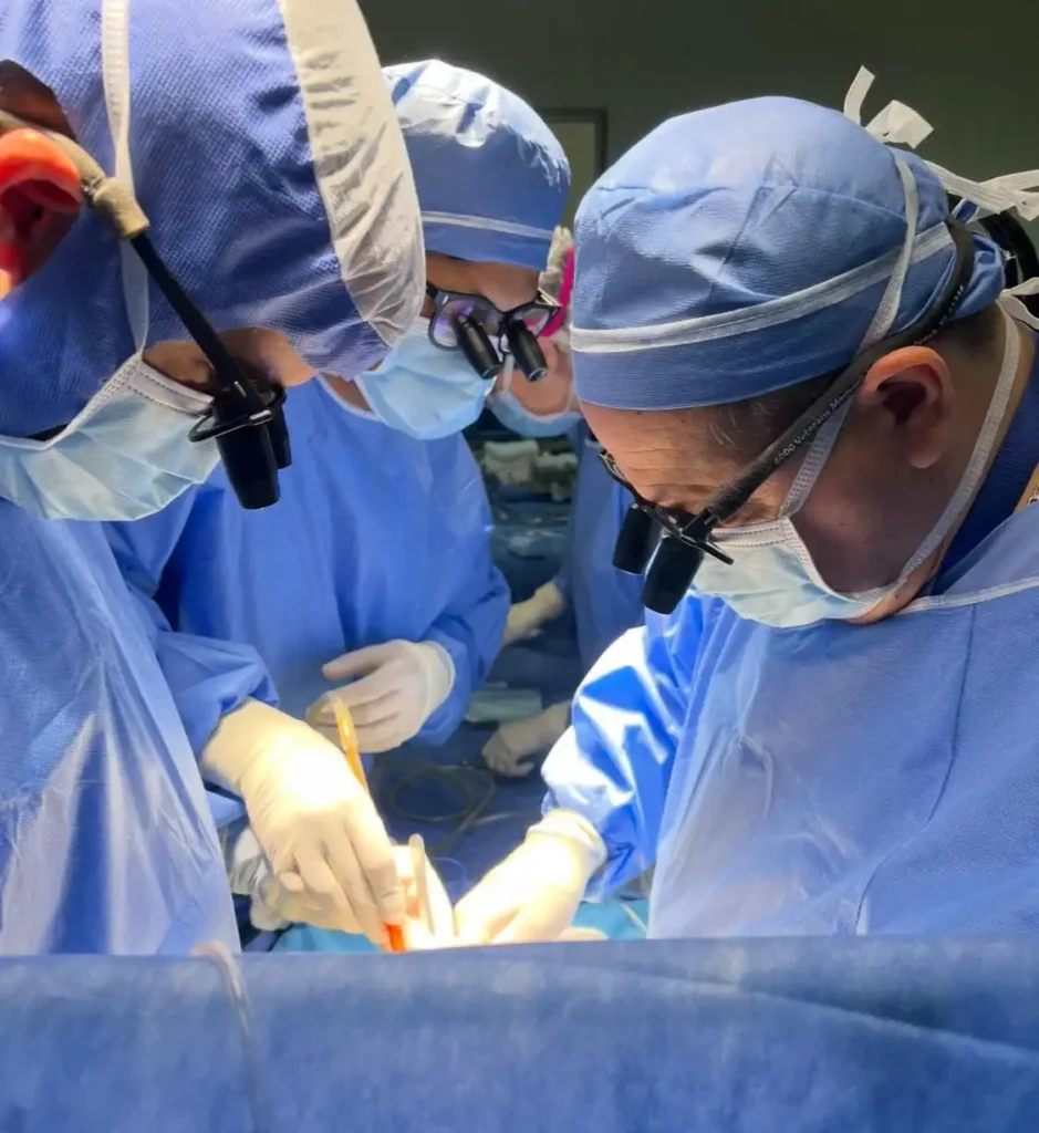 Un Hito en la Salud Pública: Primer Trasplante de Corazón Pediátrico en Asistolia Controlada en Argentina