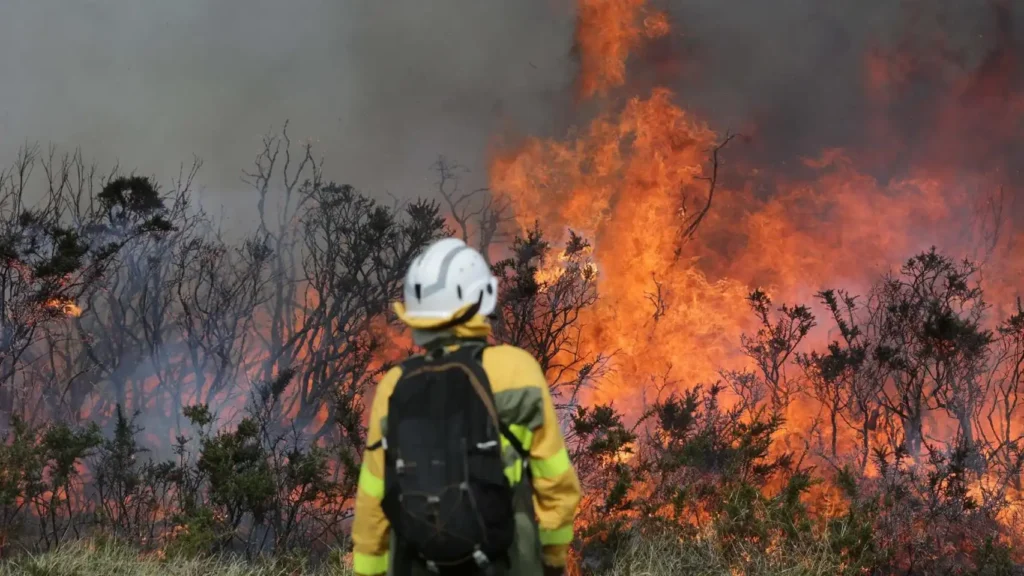 Incendio forestal en Boborás calcina más de 20 hectáreas: el fuego avanza monte arriba cerca de viviendas