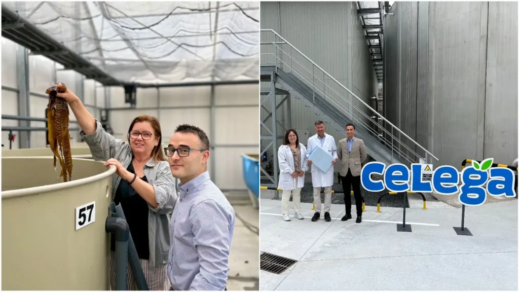 Queso Cagliata ecológico y kombu de azúcar gallegos ganan los Premios BBVA a los Mejores Productores Sostenibles